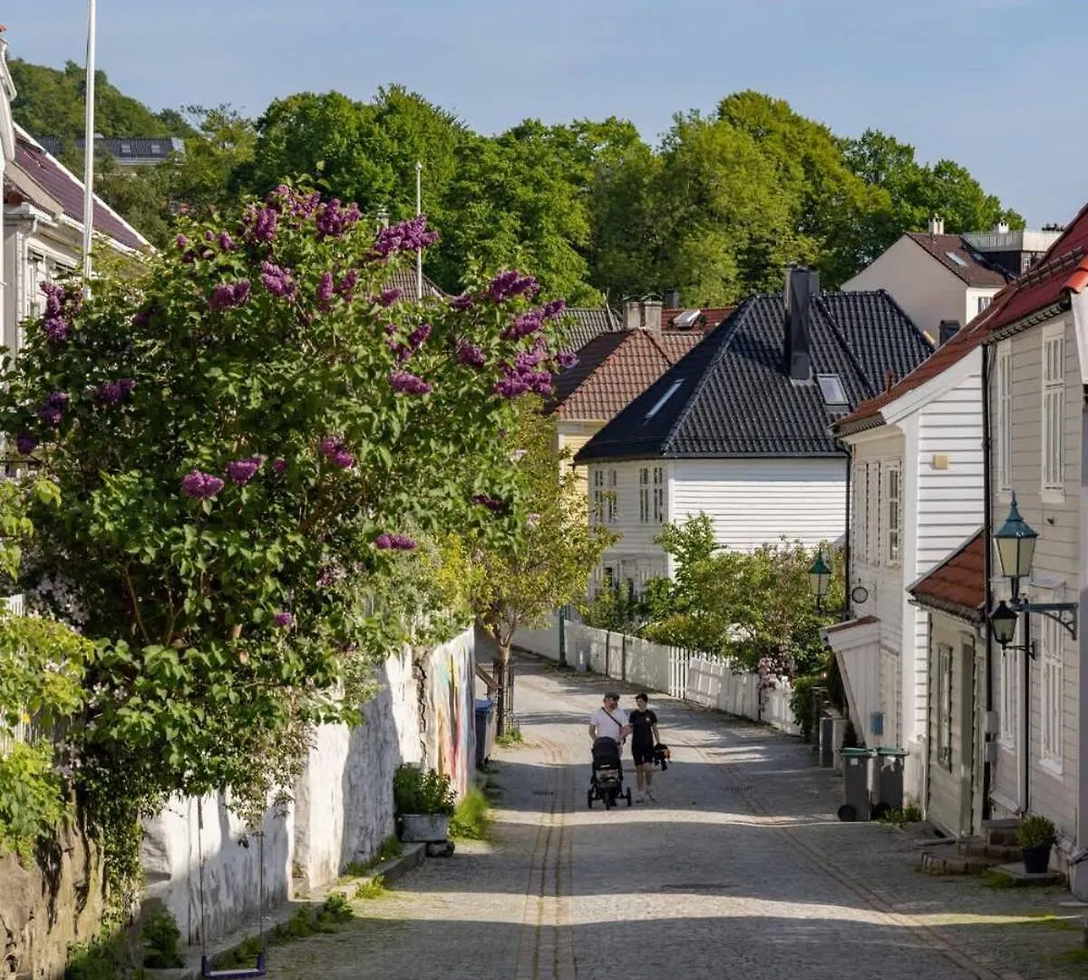 Dinbnb Apartments L 600 M To Bryggen L 3-Story House L New In 2023 Bergen Norwegia